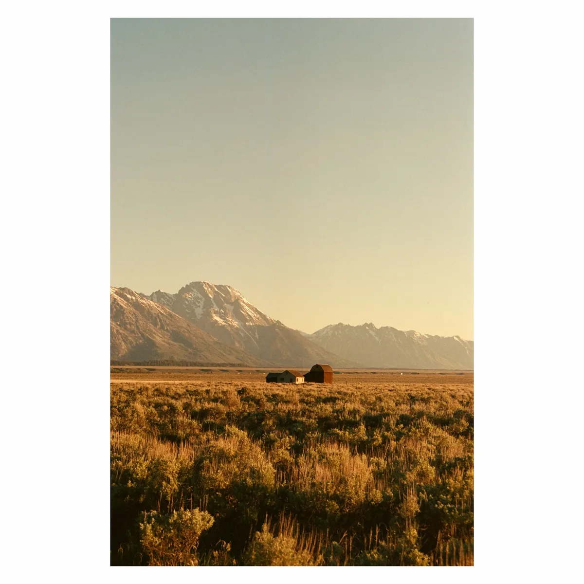 Yellowstone & Grand Tetons on film 🎞️