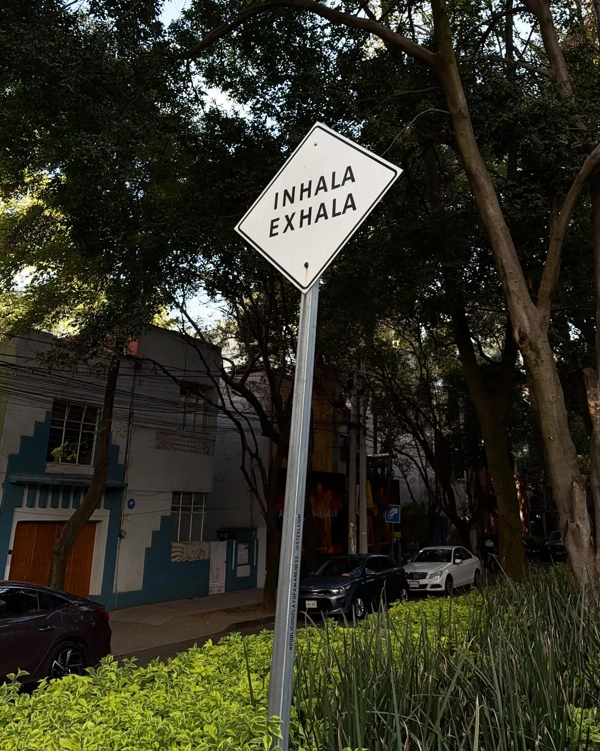 jaja