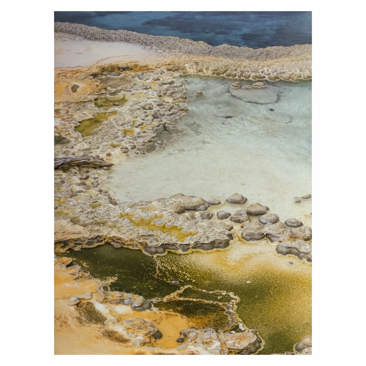 Yellowstone & Grand Tetons on film 🎞️