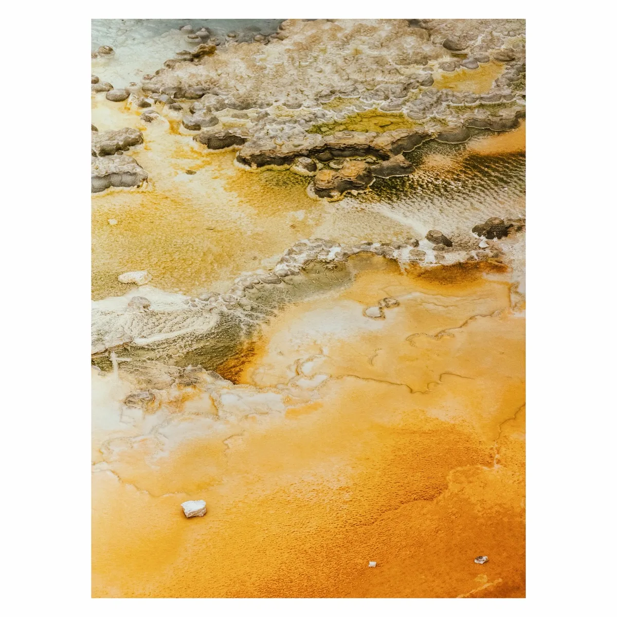 Yellowstone & Grand Tetons on film 🎞️