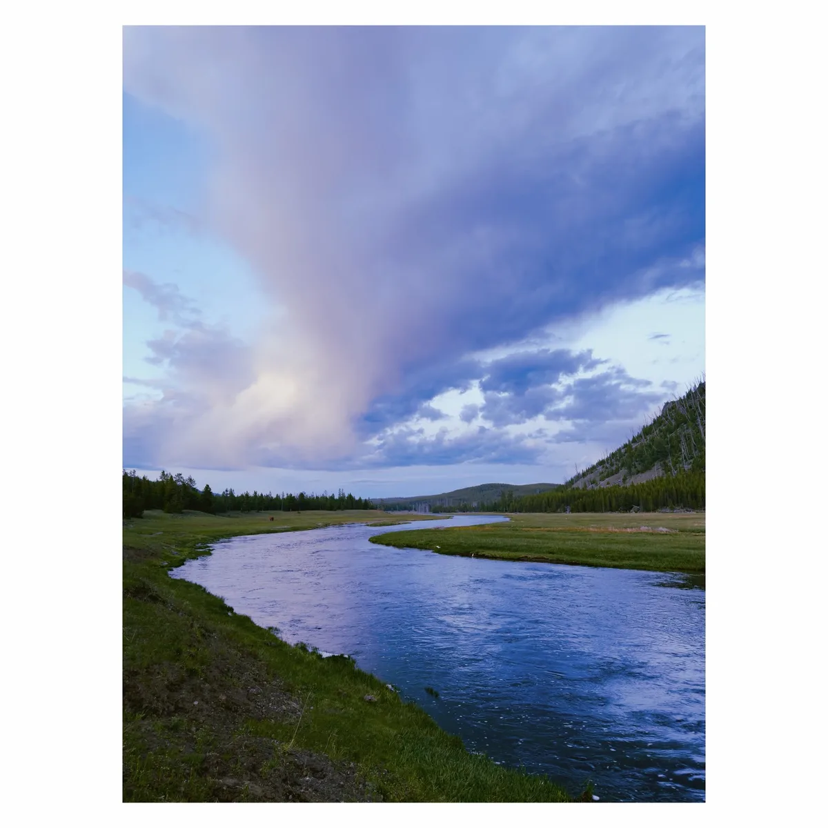 Yellowstone & Grand Tetons on film 🎞️