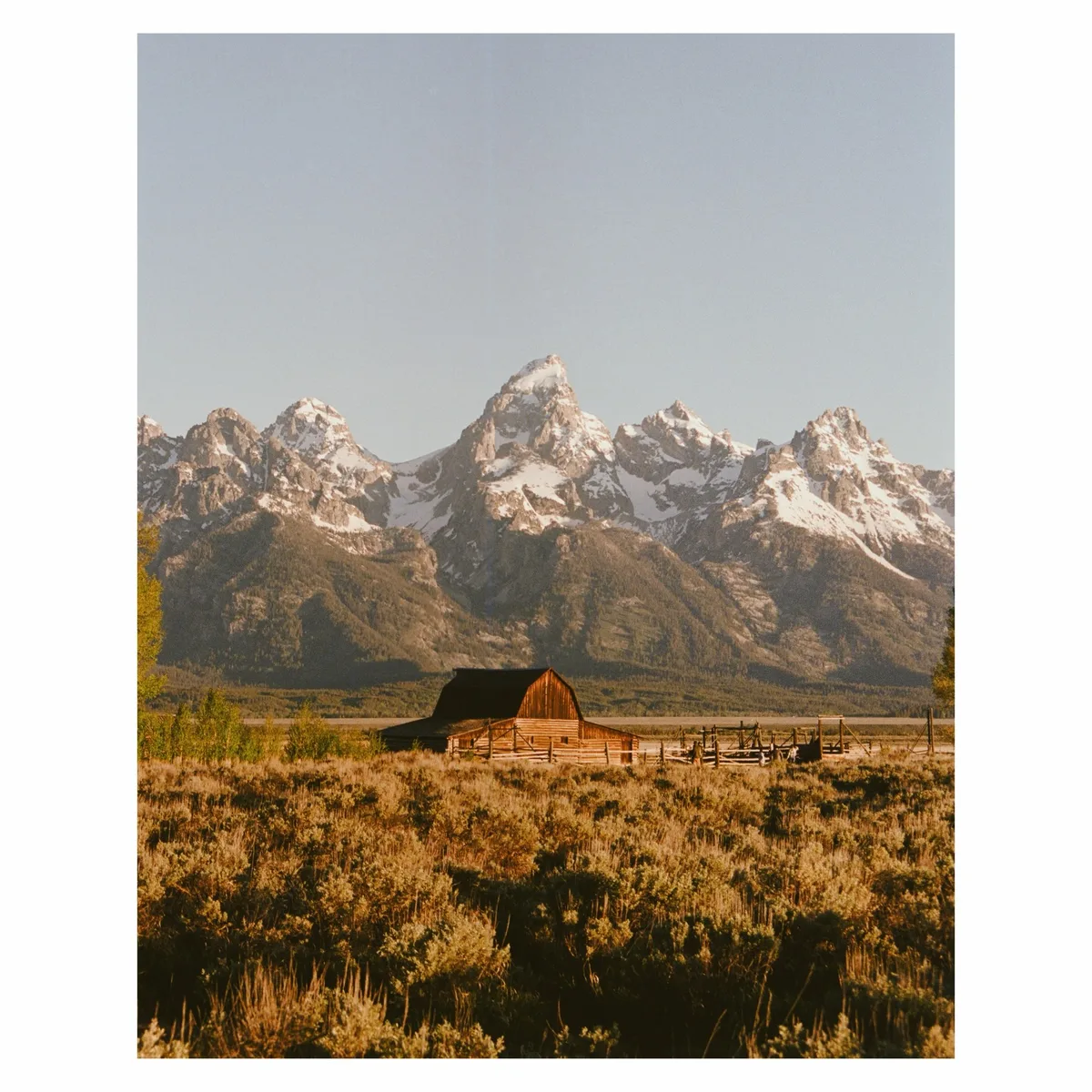 Yellowstone & Grand Tetons on film 🎞️