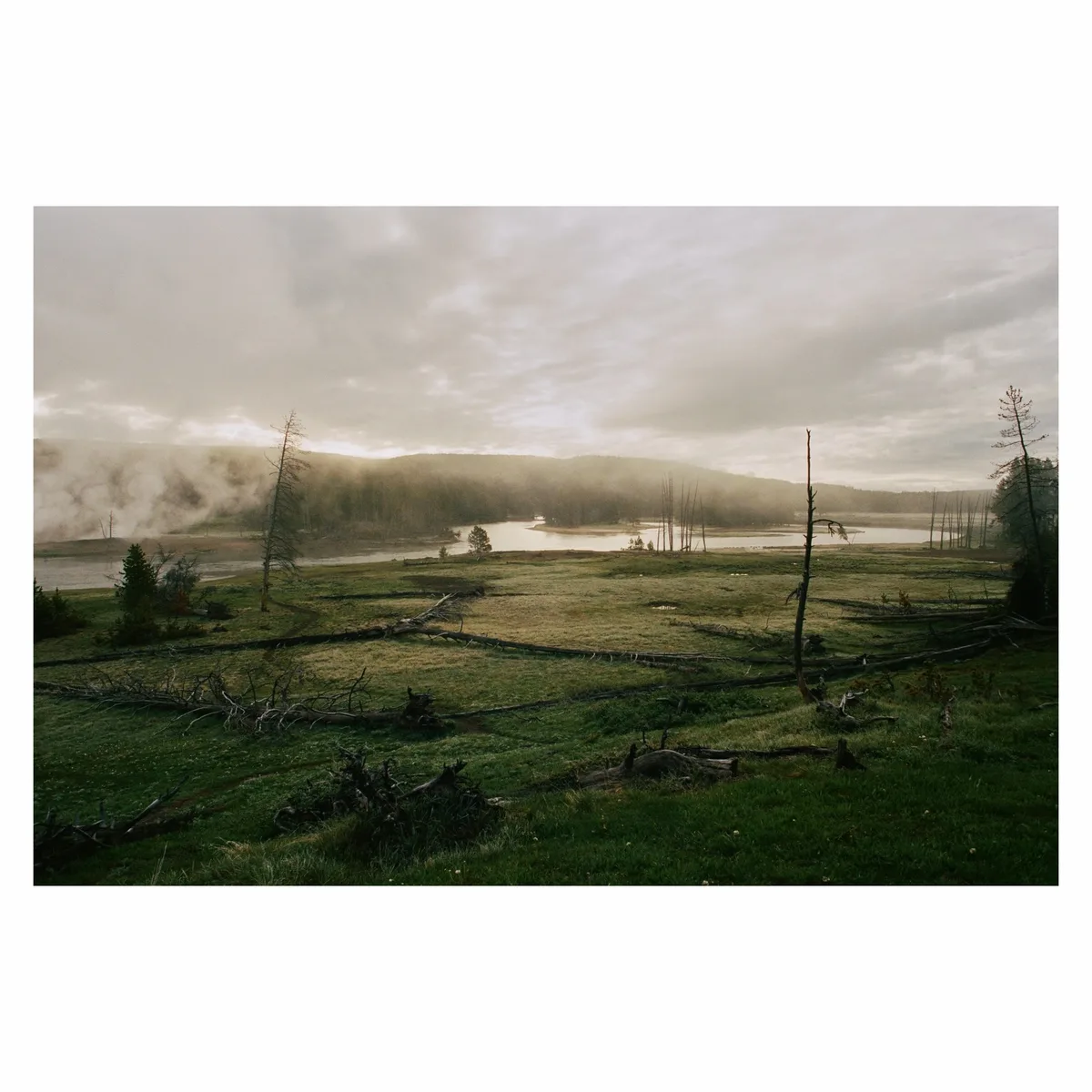 Yellowstone & Grand Tetons on film 🎞️