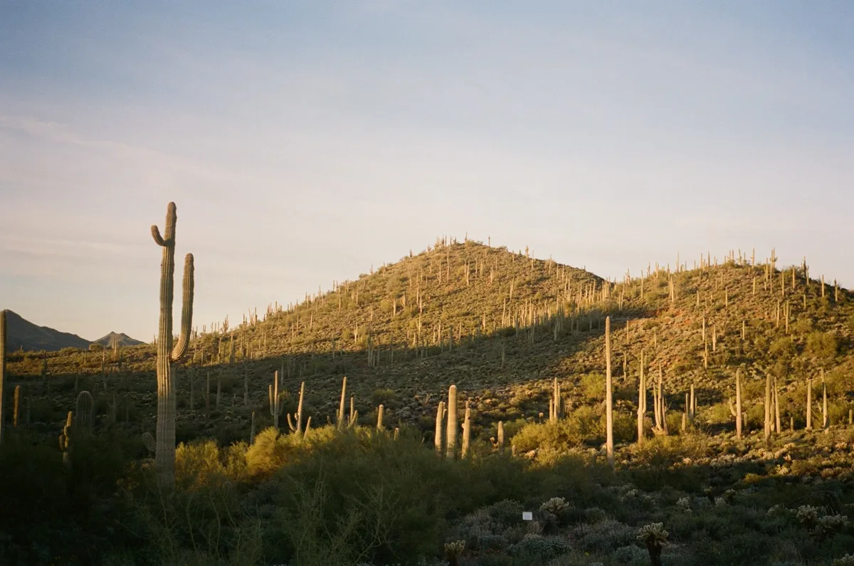Landscapes photography by Mark Nikolai, New York